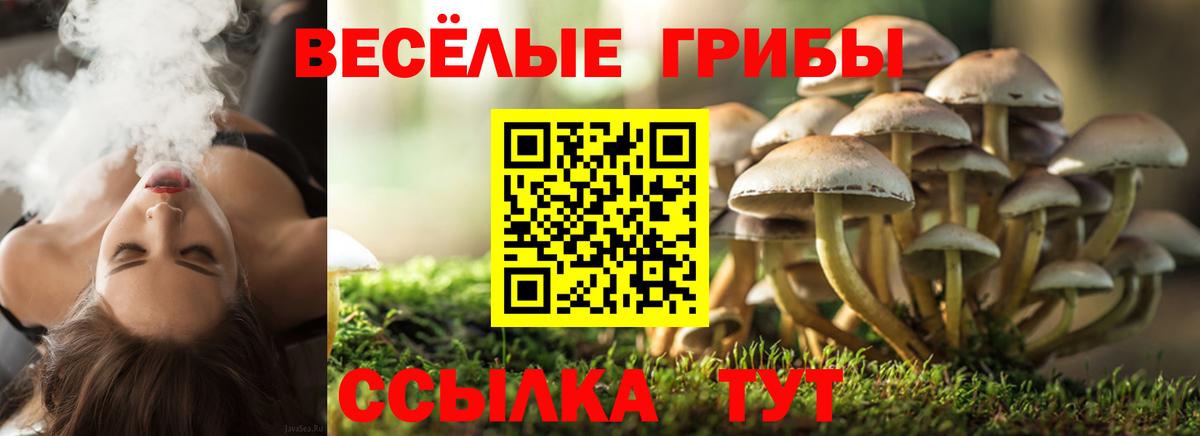 Горно-Алтайск  Галлюциногенные грибы ЛСД  Галлюциногенные грибы Psilocybine cubensis  Вход с VPN 